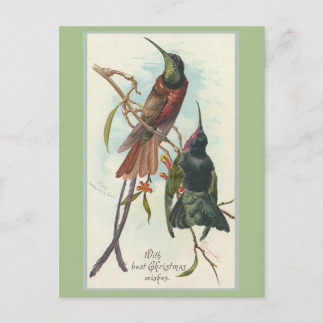 Vintage Christmas King Humming Birds Holiday Postcard (Front)