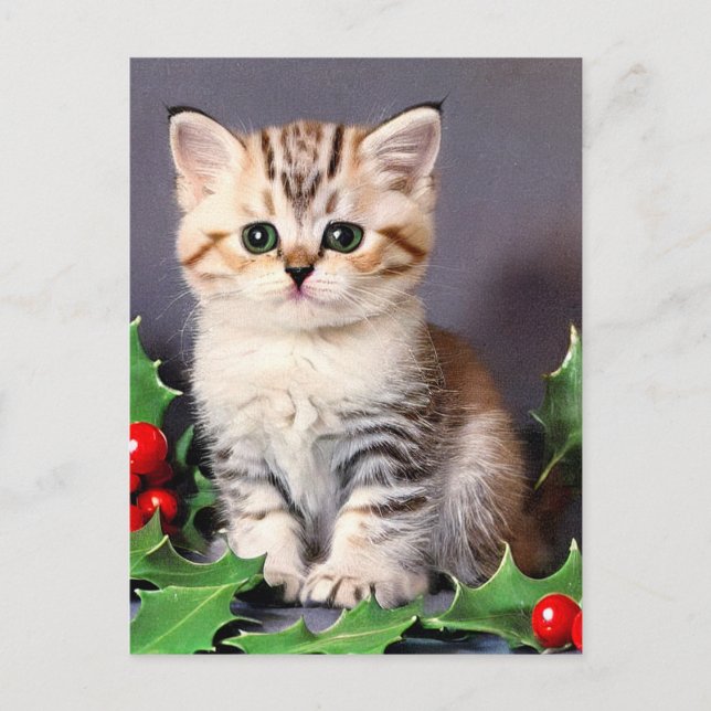 Vintage Christmas Kitten and Holly Holiday Postcard (Front)