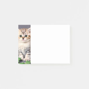 Vintage Christmas Kitten and Holly Post-it Notes