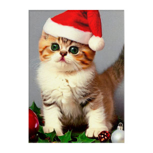 Vintage Christmas Kitten in Santa Hat Acrylic Print