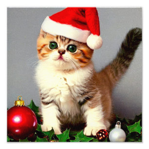 Vintage Christmas Kitten in Santa Hat Photo Print