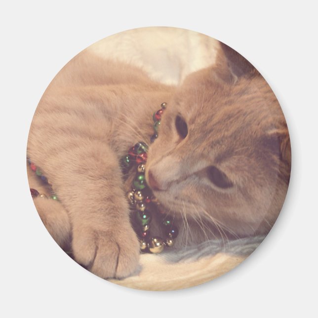 Vintage Christmas Kitty Magnet (Front)