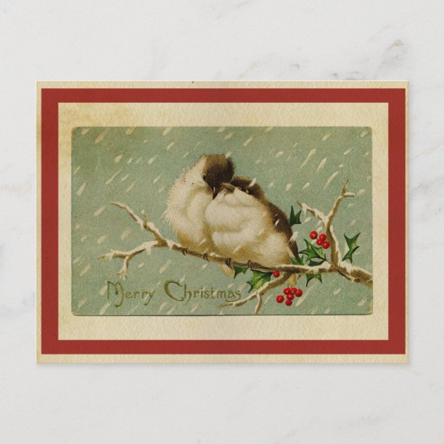 Vintage Christmas Lovebirds Postcard (Front)