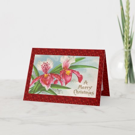 Vintage Christmas Orchids Holiday Card