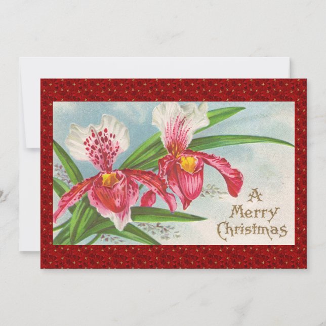 Vintage Christmas Orchids Holiday Card (Front)