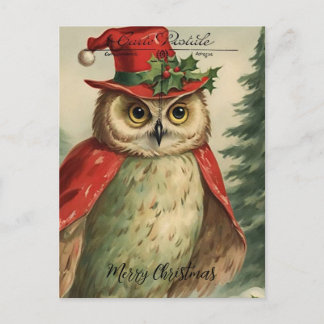 Vintage Christmas Owl Collage Postcard