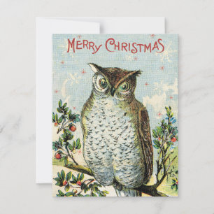 Vintage Christmas Owl Holiday Card