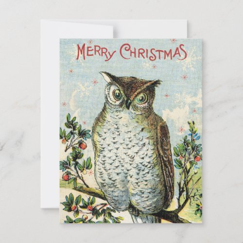 Vintage Christmas Owl Holiday Card