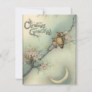 Vintage Christmas Owls Holiday Card