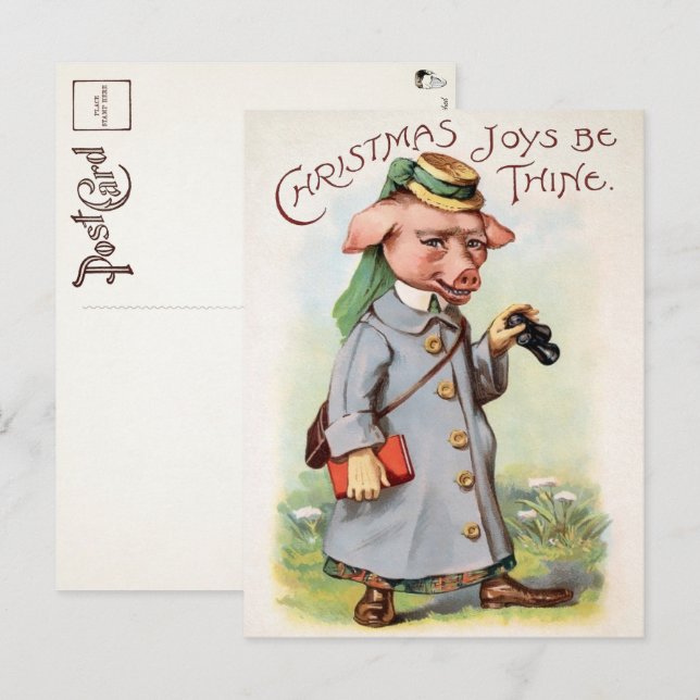 Vintage Christmas Pig Postcard (Front/Back)
