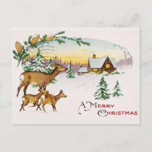 Vintage Christmas Postcard