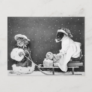 Vintage Christmas Postcard