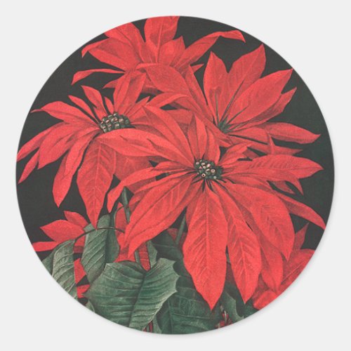 Vintage Christmas Red Poinsettia Plants Flowers Classic Round Sticker