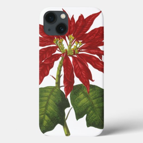 Vintage Christmas Red Poinsettia Winter Plant iPhone 13 Case