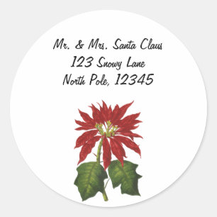 Vintage Christmas, Red Poinsettia Winter Plant Classic Round Sticker