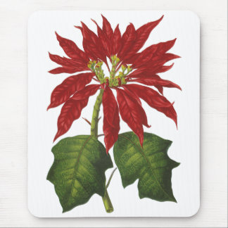 Vintage Christmas, Red Poinsettia Winter Plant Mouse Pad