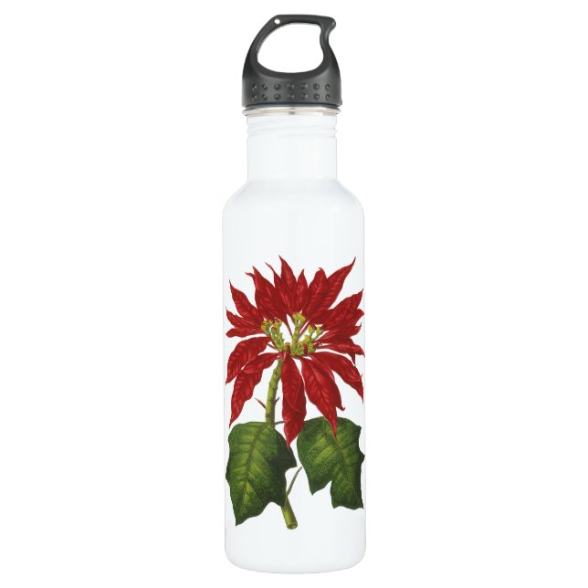 Vintage Christmas, Red Poinsettia Winter Plant Water Bottle (Front)