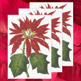 Poinsettia Floral Bouquet Dissolvable Wrapping Paper