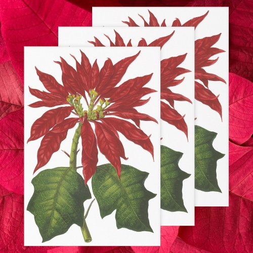 Vintage Christmas Red Poinsettia Winter Plant Wrapping Paper Sheets