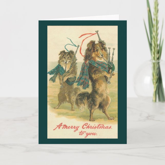Vintage Christmas Scottish piper dogs Holiday Card (Front)