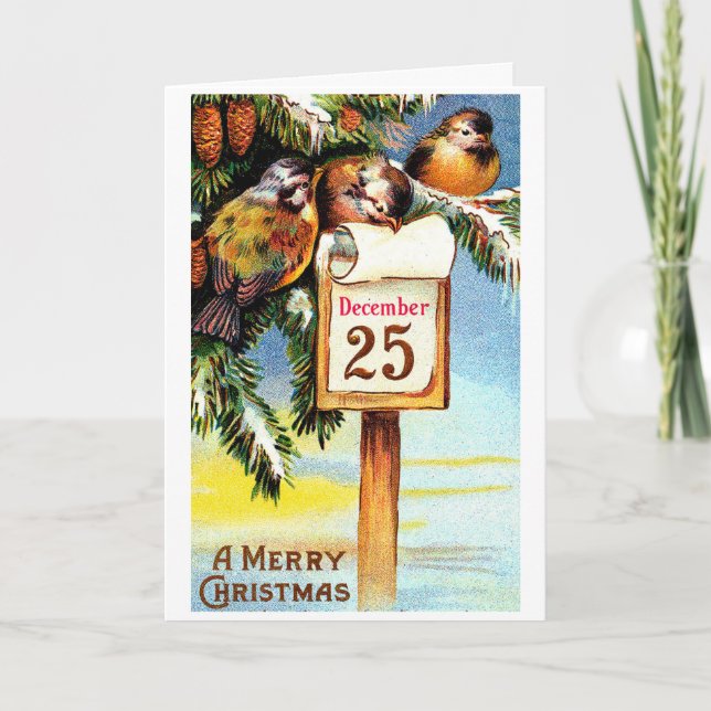 Vintage Christmas Snow Birds Holiday Card (Front)