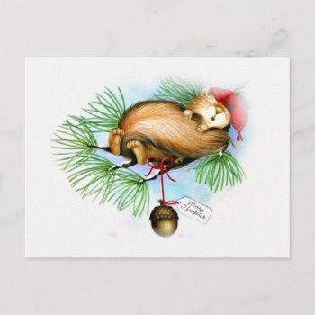 Vintage Christmas Squirrel Dreaming Holiday Postcard by ChristmasTimeByDarla at Zazzle