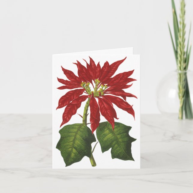 Vintage Christmas Thank You Card (Front)