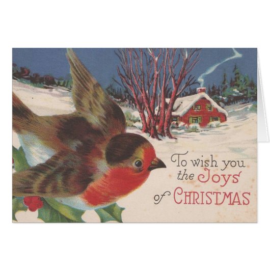 Vintage Christmas Winter Bird Cards (Front Horizontal)
