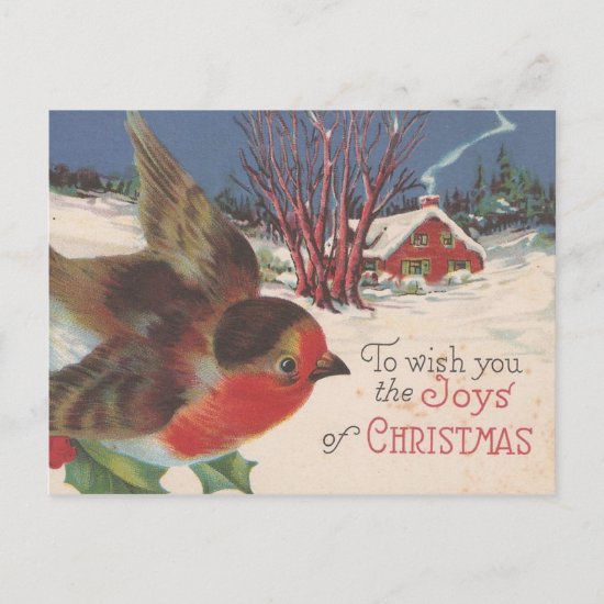 Vintage Christmas Winter Bird Holiday Postcard
