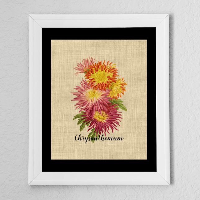 Vintage Chrysanthemum Botanical  Poster (Creator Uploaded)