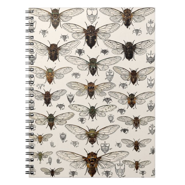 Vintage Cicadas Illustration Notebook (Front)