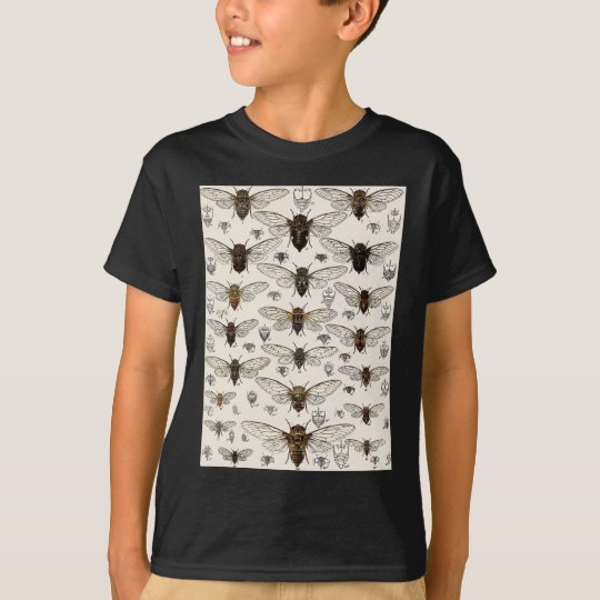 Vintage Cicadas Illustration T-Shirt | Zazzle.com