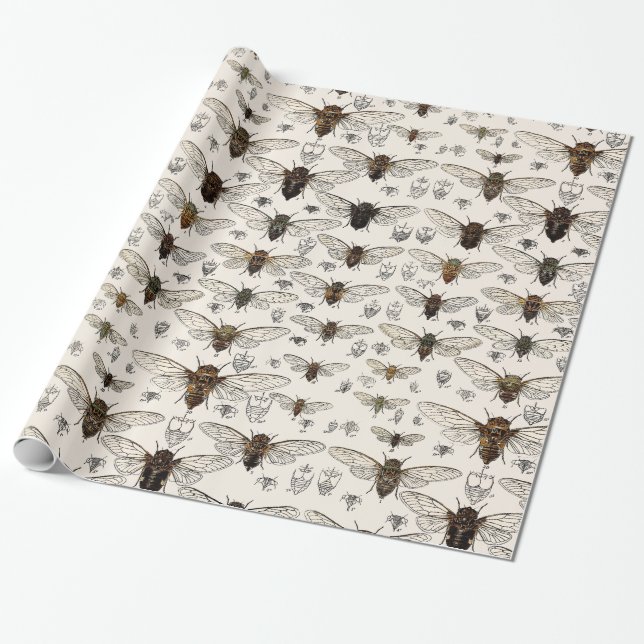 Vintage Cicadas Illustration Wrapping Paper (Unrolled)