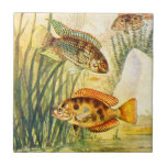 Vintage Cichlid Fish Ceramic Tile
