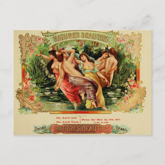 Vintage Cigar Box Label Postcard (Front)