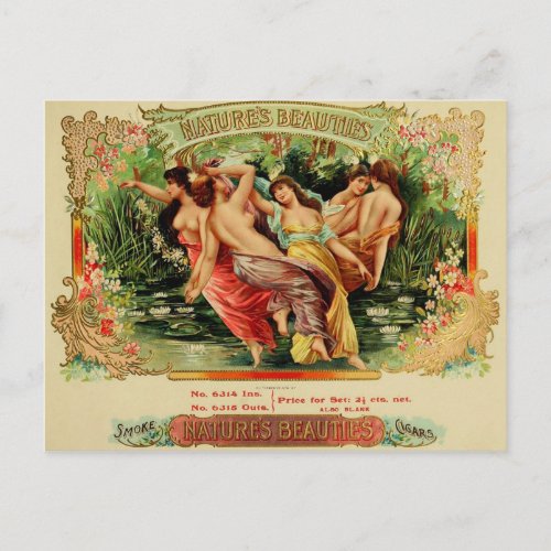Vintage Cigar Box Label Postcard 77