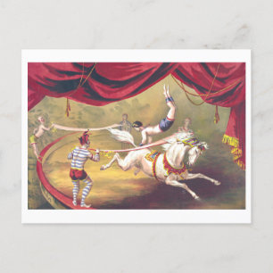 Vintage Circus Advertising Lithograph with Horses Postcard