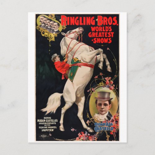 Vintage Circus Animal Act Promotional Postcard