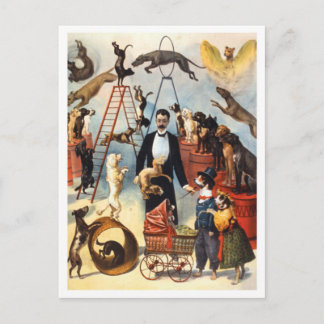 Vintage Circus Dog Trainer Postcard