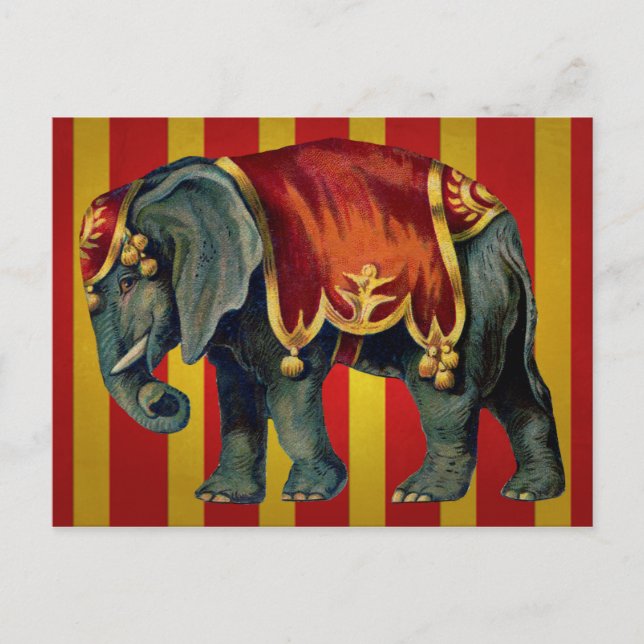 vintage circus elephant postcard (Front)