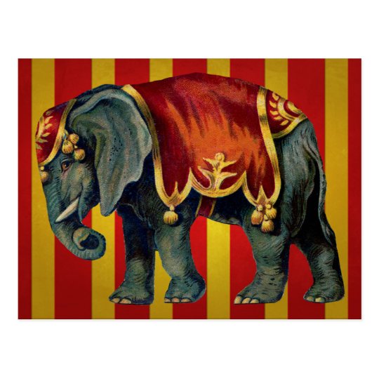 vintage circus elephant postcard | Zazzle.com