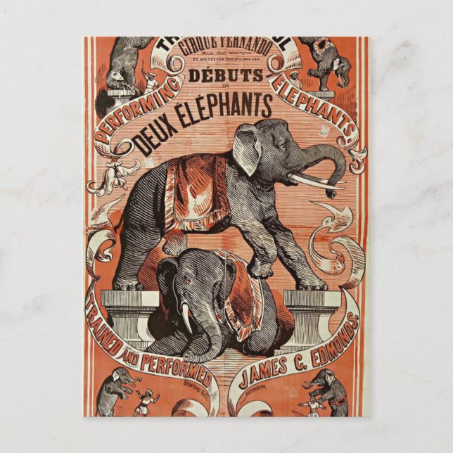 vintage circus elephant show postcard (Front)