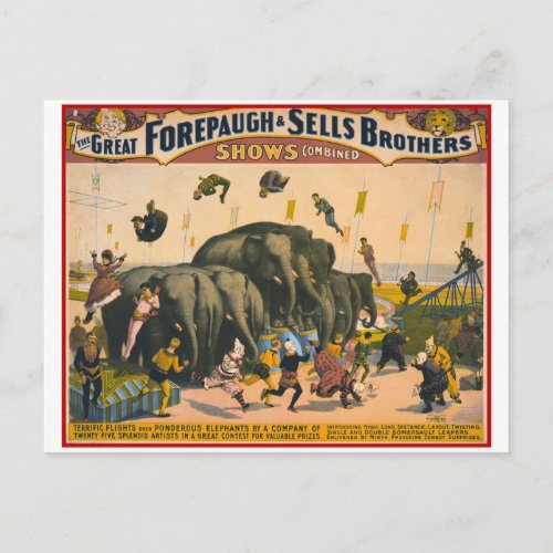 Vintage circus elephants acrobats Forepaugh  Sell Postcard