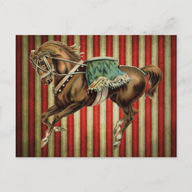 vintage circus horse postcard (Front)