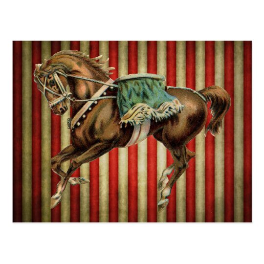 vintage circus horse postcard Zazzle