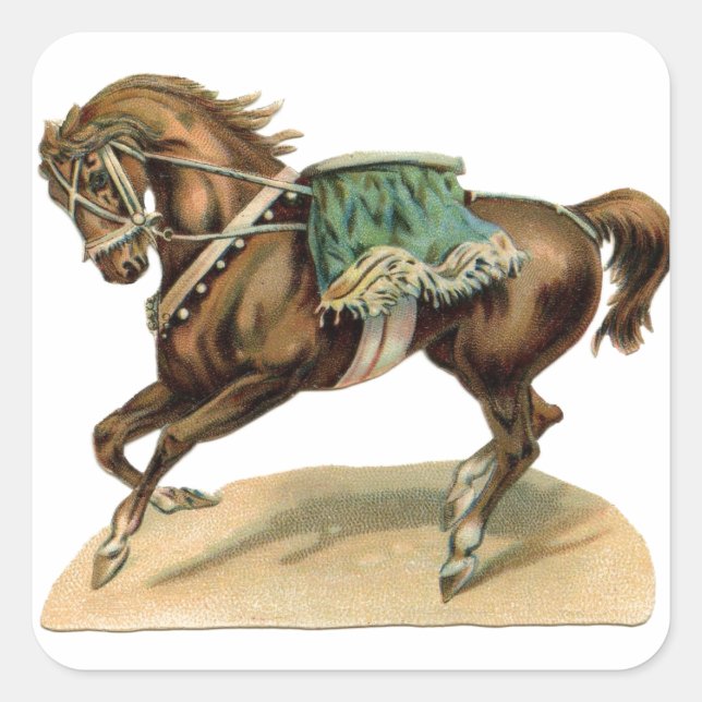 Vintage Circus Horse Square Sticker (Front)