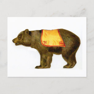 Vintage circus performing bear postcard
