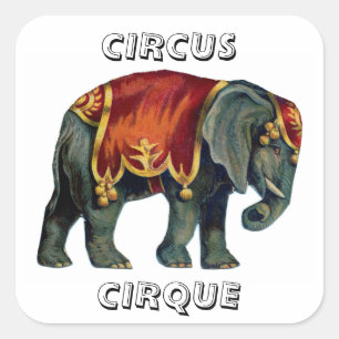 Vintage circus performing elephant circus  , poste square sticker