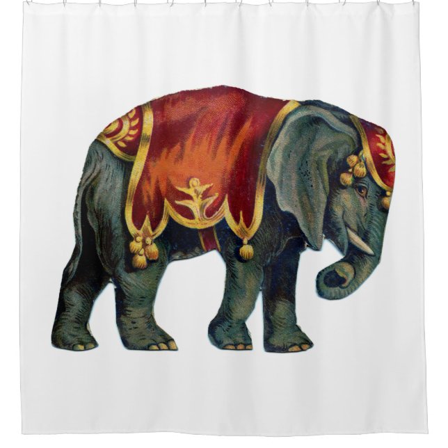 Vintage circus performing elephant circus   shower curtain (Front)