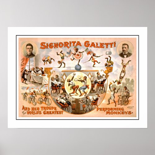Vintage Circus Performing Monkeys Poster